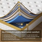 Matelas hybride à ressorts et mousse à mémoire de forme de 25 cm (10 pouces)